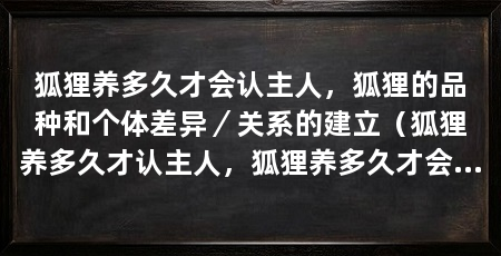 狐狸养多久才会认主人,狐狸的品种和个体差异/关系的建立(狐狸养多久才认主人,狐狸养多久才会认主人,取决于多个因素