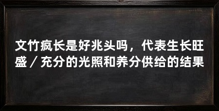 文竹疯长是好兆头吗,代表生长旺盛/充分的光照和养分供给的结果