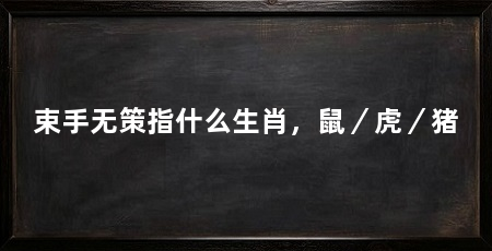 束手无策指什么生肖,鼠/虎/猪
