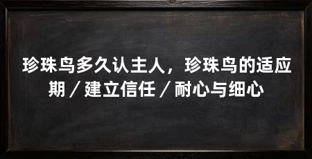 珍珠鸟多久认主人,珍珠鸟的适应期/建立信任/耐心与细心