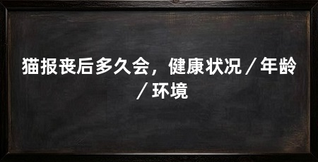 猫报丧后多久会,健康状况/年龄/环境