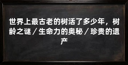 世界上最古老的树活了多少年,树龄之谜/生命力的奥秘/珍贵的遗产