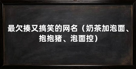 最欠揍又搞笑的网名(奶茶加泡面、抱抱猪、泡面控)