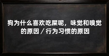 狗为什么喜欢吃屎呢,味觉和嗅觉的原因/行为习惯的原因
