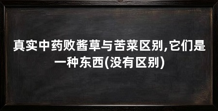 真实中药败酱草与苦菜区别,它们是一种东西(没有区别)