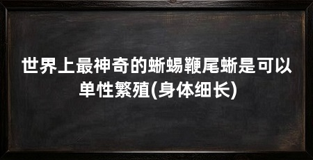 世界上最神奇的蜥蜴鞭尾蜥是可以单性繁殖(身体细长)
