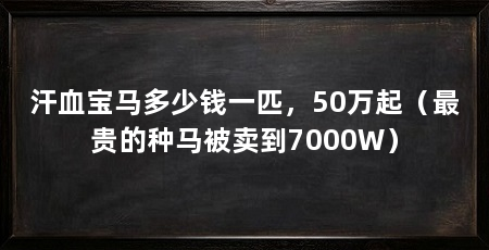 汗血宝马多少钱一匹，50万起（最贵的种马被卖到7000W）