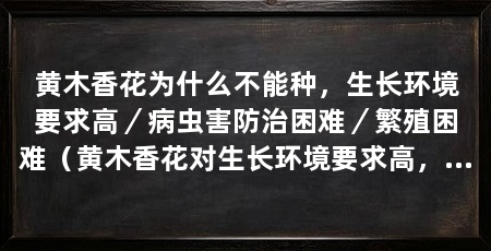 黄木香花为什么不能种,生长环境要求高/病虫害防治困难/繁殖困难(黄木香花对生长环境要求高,很难在家庭花园中种植黄木香花