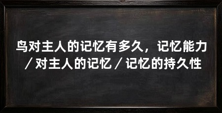 鸟对主人的记忆有多久，记忆能力／对主人的记忆／记忆的持久性