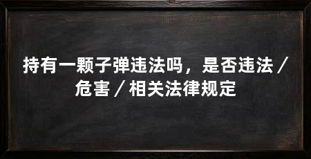 持有一颗子弹违法吗，是否违法／危害／相关法律规定