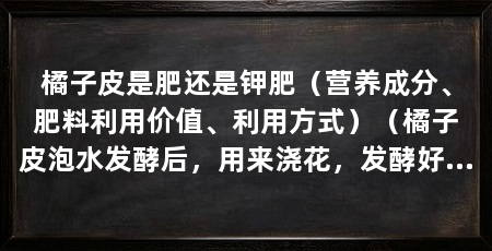 橘子皮是肥还是钾肥（营养成分、肥料利用价值、利用方式）（橘子皮泡水发酵后，用来浇花，发酵好了，叶子长得肥厚