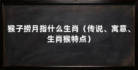 猴子捞月指什么生肖（传说、寓意、生肖猴特点）
