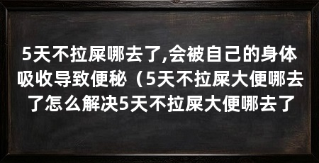 5天不拉屎哪去了,会被自己的身体吸收导致便秘(5天不拉屎大便哪去了怎么解决5天不拉屎大便哪去了