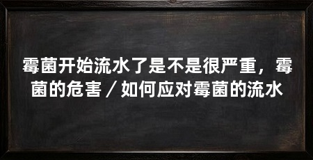 霉菌开始流水了是不是很严重,霉菌的危害/如何应对霉菌的流水