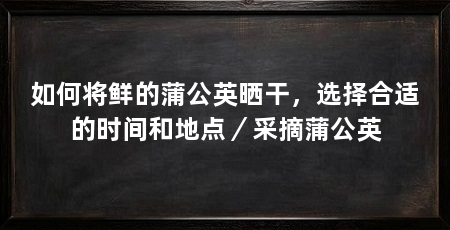 如何将鲜的蒲公英晒干，选择合适的时间和地点／采摘蒲公英