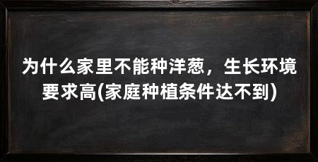 为什么家里不能种洋葱，生长环境要求高(家庭种植条件达不到)