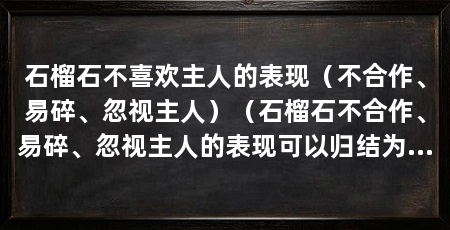 石榴石不喜欢主人的表现（不合作、易碎、忽视主人）（石榴石不合作、易碎、忽视主人的表现可以归结为以下几个原因