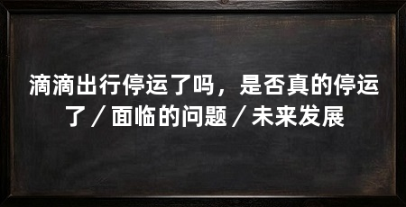 滴滴出行停运了吗，是否真的停运了／面临的问题／未来发展