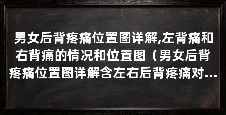 男女后背疼痛位置图详解,左背痛和右背痛的情况和位置图(男女后背疼痛位置图详解含左右后背疼痛对照图(重视背疼原因