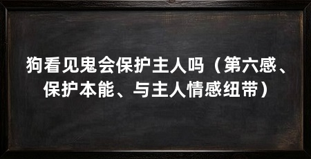 狗看见鬼会保护主人吗(第六感、保护本能、与主人情感纽带)