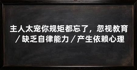 主人太宠你规矩都忘了,忽视教育/缺乏自律能力/产生依赖心理
