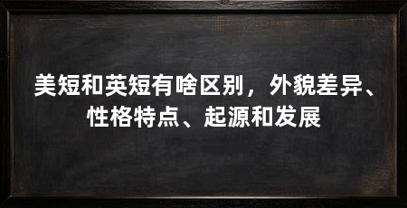美短和英短有啥区别,外貌差异、性格特点、起源和发展