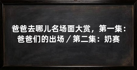 爸爸去哪儿名场面大赏，第一集：爸爸们的出场／第二集：奶赛