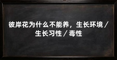 彼岸花为什么不能养,生长环境/生长习性/毒性