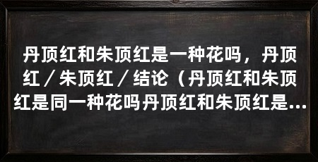 丹顶红和朱顶红是一种花吗,丹顶红/朱顶红/结论(丹顶红和朱顶红是同一种花吗丹顶红和朱顶红是一种花吗