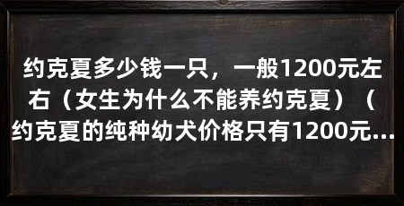 约克夏多少钱一只，一般1200元左右（女生为什么不能养约克夏）（约克夏的纯种幼犬价格只有1200元左右，但是长相可能一般