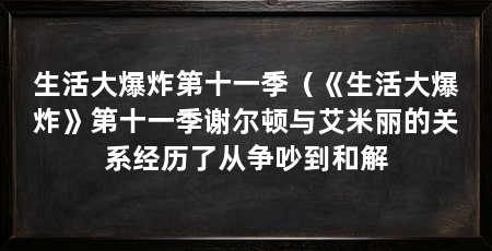 生活大爆炸第十一季（《生活大爆炸》第十一季谢尔顿与艾米丽的关系经历了从争吵到和解