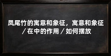 凤尾竹的寓意和象征,寓意和象征/在中的作用/如何摆放