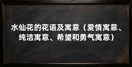 水仙花的花语及寓意(爱情寓意、纯洁寓意、希望和勇气寓意)