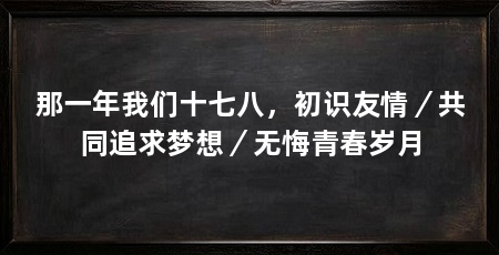 那一年我们十七八，初识友情／共同追求梦想／无悔青春岁月