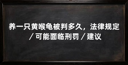 养一只黄喉龟被判多久，法律规定／可能面临刑罚／建议