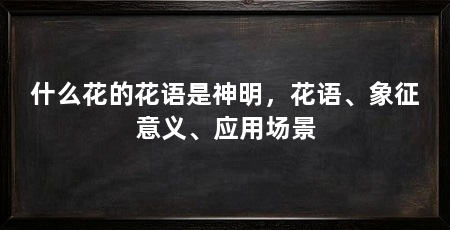 什么花的花语是神明，花语、象征意义、应用场景