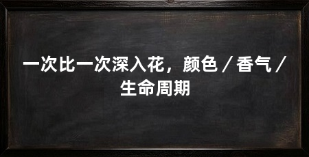 一次比一次深入花,颜色/香气/生命周期