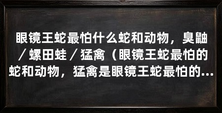 眼镜王蛇最怕什么蛇和动物,臭鼬/螺田蛙/猛禽(眼镜王蛇最怕的蛇和动物,猛禽是眼镜王蛇最怕的蛇和动物