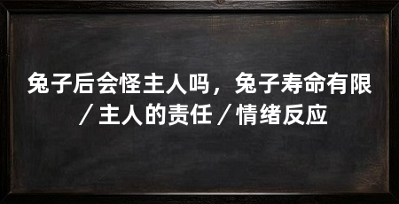 兔子后会怪主人吗,兔子寿命有限/主人的责任/情绪反应