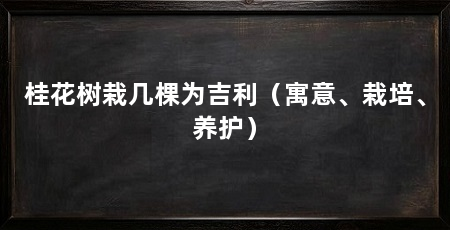 桂花树栽几棵为吉利（寓意、栽培、养护）