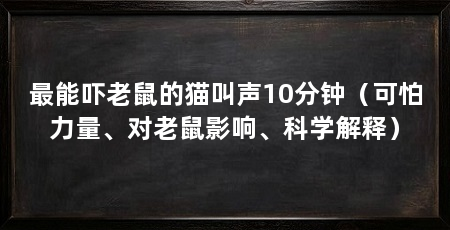 最能吓老鼠的猫叫声10分钟(可怕力量、对老鼠影响、科学解释)