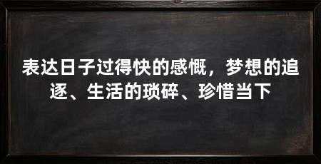 表达日子过得快的感慨,梦想的追逐、生活的琐碎、珍惜当下