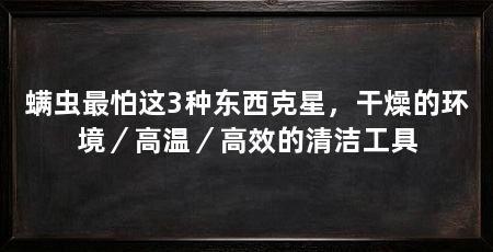 螨虫最怕这3种东西克星,干燥的环境/高温/高效的清洁工具