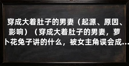 穿成大着肚子的男妻(起源、原因、影响)(穿成大着肚子的男妻,萝卜花兔子讲的什么,被女主角误会成坏人