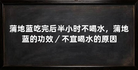 蒲地蓝吃完后半小时不喝水,蒲地蓝的功效/不宜喝水的原因
