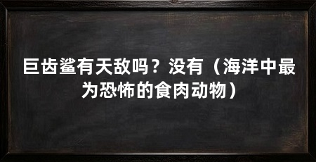 巨齿鲨有天敌吗?没有(海洋中最为恐怖的食肉动物)