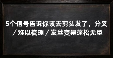 5个信号告诉你该去剪头发了,分叉/难以梳理/发丝变得蓬松无型