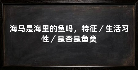 海马是海里的鱼吗,特征/生活习性/是否是鱼类