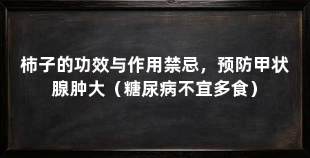 柿子的功效与作用禁忌，预防甲状腺肿大（糖尿病不宜多食）