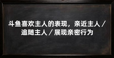 斗鱼喜欢主人的表现，亲近主人／追随主人／展现亲密行为
